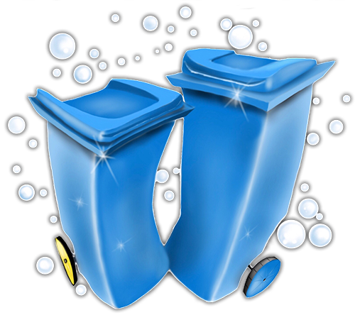 Bin Cleaning Services